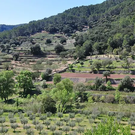 Sa Capsana * Valldemossa (Mallorca)
